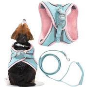 Ensemble harnais et laisses pour chaton,harnais et laisses pour chat | Service de harnais pour chat Gilet pour chat - Harnais de gilet pour chat, accessoires pour chats pour la marche de nuit et de jo