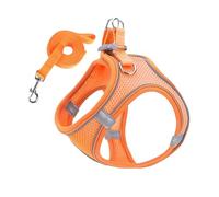 Ensemble harnais et laisses pour chien, harnais pour chien sans traction avec laisse | Gilet respirant anti-évasion pour chiots et chatons pour la randonnée, les visites vétérinaires en plein air