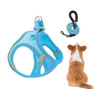 Ensemble harnais et laisses réglables pour chiens de taille moyenne et petite avec laisses | Gilet respirant anti-fugue pour chiots, chatons, chats, randonnées, visites vétérinaires, camping