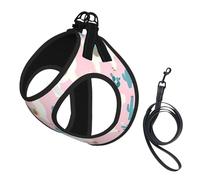 Ensemble harnais pour chien avec laisse et harnais pour chien Motif lama Cactus Doux Léger Maille respirante