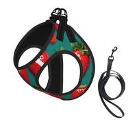 Ensemble harnais pour chien de petite taille avec laisse - Motif fraises