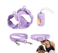 Ensemble harnais pour chien - Ensemble de harnais de plomb pour chat | Harnais pour chien réglable en PVC à la mode, gilet sans pointe avec plomb, collier de sécurité | Harnais