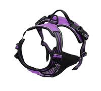 Ensemble harnais pour chien et chiot - Tout pour chiens et chiots - Ensemble de taille M et S (Rose, L)
