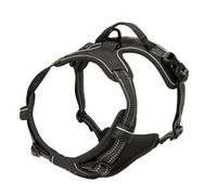 Ensemble harnais pour chien et chiot - Tout pour chiens et chiots - Ensemble de taille M et S (Rose, L)