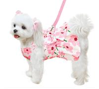 Ensemble harnais pour chien et laisse - Vêtements pour chiots - Vêtements d'été mignons à imprimé fraise rouge pour animaux de compagnie - Robe de princesse avec nœud papillon femelle (rose, taille