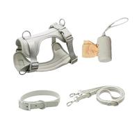 Ensemble harnais pour chien - Harnais et ensemble pour animaux de compagnie, harnais pour chiens de taille moyenne, gilet en dentelle réglable robuste, boucles légères pour chiots avec support pour