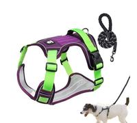 Ensemble harnais pour chien | Harnais réfléchissant confortable anti-traction pour chien | Harnais pour chien avec rembourrage pour activités de plein air