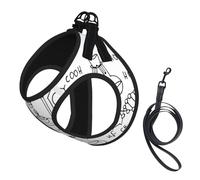 Ensemble harnais pour chien imprimé chimie petite taille et laisse - Léger et doux - Maille respirante