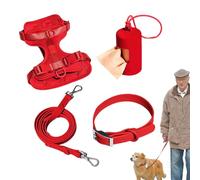 Ensemble harnais pour chiens de petite taille - Harnais pour chiens de taille moyenne - Harnais sans traction pour chiens de taille moyenne - Petit harnais pour animaux de compagnie composé d'un