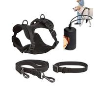 Ensemble harnais pour petit chien en PVC imperméable réfléchissant réglable | Laisse imperméable pour course à pied, jogging, entraînement, sports de plein air, exercices quotidiens, aventure active