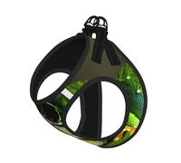 Ensemble harnais réfléchissant pour chien avec imprimé grenouille arbre, harnais et laisse pour chien, pour la marche et le dressage