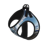 Ensemble harnais réfléchissant pour chien avec motif pont de la vieille tour de Londres