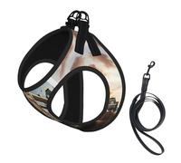 Ensemble harnais réfléchissant pour chien avec motif pont de la vieille tour de Londres