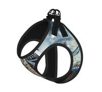 Ensemble harnais réfléchissant pour chien avec motif pont de la vieille tour de Londres