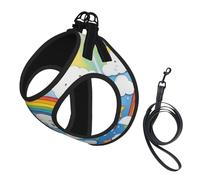 Ensemble harnais réfléchissant pour chien, chat, petite race, motif gouttes de pluie arc-en-ciel