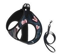 Ensemble harnais réfléchissant pour chien et chat avec inscription « I Love You Words with Hearts »