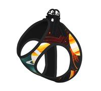 Ensemble harnais réfléchissant pour chien Motif Jupiter Saturne Système solaire