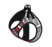 Ensemble harnais réglable avec laisse pour chats et chiens, gilet en maille douce et respirante avec design réfléchissant, laisse anti-fuite pour petits animaux de compagnie, promenade et dressage