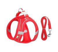 Ensemble harnais réglable et laisse de 1,5 m pour petits chiens - Parfait pour les chihuahuas et les carlins - Idéal pour la promenade en plein air - Rouge - XXS - 1 à 2 kg