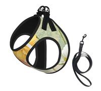 Ensemble harnais réglable et laisse pour chats et chiens, motif coquelicots pastel, gilet en maille avec design réfléchissant, laisse anti-fuite pour petits animaux de compagnie, promenade et dressage