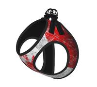 Ensemble harnais réglable et laisse pour chats et chiens, motif drapeau du Canada rétro, gilet en maille avec design réfléchissant, laisse anti-évasion pour petits animaux de compagnie, promenade et