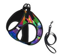 Ensemble harnais réglable et laisse pour chats et chiens, motif roses multicolores, gilet en maille avec design réfléchissant, laisse anti-évasion pour petits animaux de compagnie, promenade et
