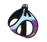 Ensemble harnais réglable et laisse romantique pour chats et chiens, doux et respirant, gilet en maille avec design réfléchissant, laisse anti-fuite pour petits animaux de compagnie, promenade et