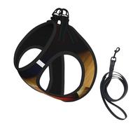 Ensemble harnais réglable imprimé Basketball Arena pour chats et chiens, gilet en maille douce et respirante avec design réfléchissant, laisse anti-fuite pour petits animaux de compagnie, promenade et