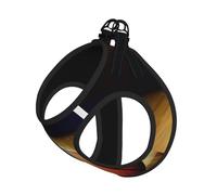 Ensemble harnais réglable imprimé Basketball Arena pour chats et chiens, gilet en maille douce et respirante avec design réfléchissant, laisse anti-fuite pour petits animaux de compagnie, promenade et