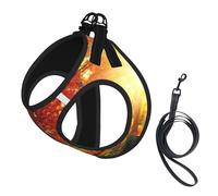 Ensemble harnais réglable pour chats et chiens, gilet en maille douce et respirante avec design réfléchissant, laisse anti-fuite pour petits animaux de compagnie, promenade et dressage