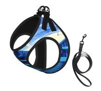 Ensemble harnais réglable pour chats et chiens, gilet en maille douce et respirante avec design réfléchissant, laisse anti-fuite pour petits animaux de compagnie, promenade et dressage