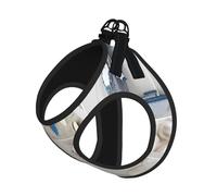 Ensemble harnais réglable pour chats et chiens, gilet en maille douce et respirante avec design réfléchissant, laisse anti-fuite pour petits animaux de compagnie, promenade et dressage