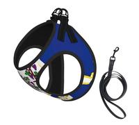 Ensemble harnais réglable pour chats et chiens, gilet en maille souple et respirant avec design réfléchissant, laisse anti-évasion pour petits animaux de compagnie, promenade et dressage