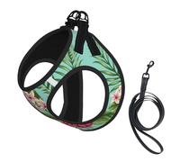 Ensemble harnais réglable pour chats et chiens, motif hawaïen, feuilles tropicales et fleurs, gilet en maille avec design réfléchissant, laisse anti-fuite pour petits animaux de compagnie, promenade