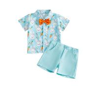 Ensemble HawaïEn pour Enfants Ensemble Deux pièces pour garçon, Confortable et Respirant, idéal Pâques Short Manches Courtes imprimé Dessin animé. (Sky Blue, 12-18 Months)