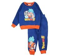 Jogging Garçon Dragon Ball Z, Confort Optimal pour l'Hiver et les Activités Sportives, Design Super Héros