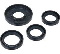 Ensemble : Joints d'arbre moteur, bleu, double lèvre - pour MZ ETZ125, ETZ150