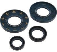 Ensemble : Joints d'arbre moteur, bleu, double lèvre - pour MZ TS250