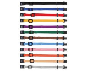 Ensemble junior colliers pour chiots 17-25 cm/10 mm noir, rouge, bleu royal, pomme, papaye, orchidée