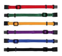 Ensemble junior colliers pour chiots 22-35 cm/10 mm noir, rouge, bleu royal, pomme, papaye, orchidée