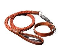 Ensemble laisse en cuir véritable anti-explosion pour chien de taille moyenne et grande avec ressort tampon, laisse et collier tressés en cuir de vachette, résistant à la traction et anti-fuite