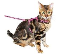 Ensemble laisse harnais pour chats rose - KERBL - Petit - Extérieur