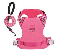 Ensemble laisse, harnais pour chien, anti-fuite, bandes réfléchissantes, harnais pour chiens de taille moyenne, sangles réglables, harnais anti-évasion pour chien