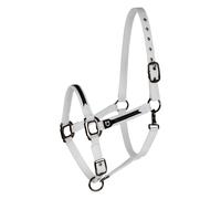 Ensemble licol en nylon et longe pour cheval en nylon Equestro Blanc Cob