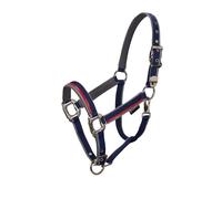 Ensemble licol en nylon et longe pour cheval en nylon Equestro Bleu Cob