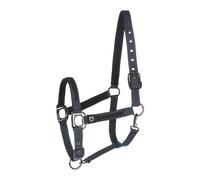 Ensemble licol en nylon et longe pour cheval en nylon Equestro Bleu Cob