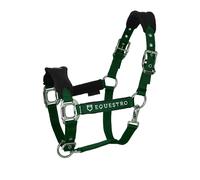 Ensemble licol en nylon et longe pour cheval en nylon Equestro Vert Full
