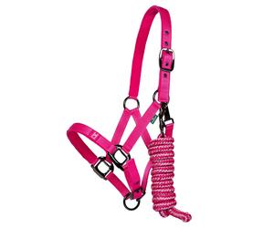 Ensemble licol et longe Amigo Newmarket Rose Cob