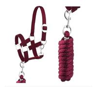 Ensemble licol et longe avec mousqueton réglable Licol pour cheval Cheval Cheval en bois Corde d'attache (Mousqueton vin, Mini Shetty)