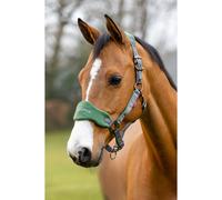 Ensemble licol et longe LeMieux Vogue Vert Cob